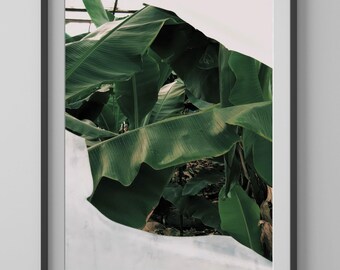 Tropischer Bananen Blatt Druck: Botanische Fotografie, Grüne Wand Kunst (Digitaler Download)