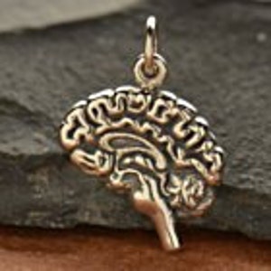 May include: A silver charm in the shape of a human brain. The charm is detailed and realistic, with all the folds and grooves of the brain visible.