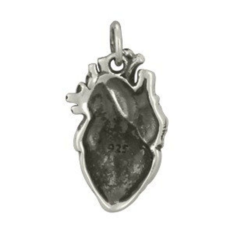 Anatomical Heart Large Charm Sterling Silver 20x10mm with soldered jump ring 1pc 20% discounted 4310/1 image 5