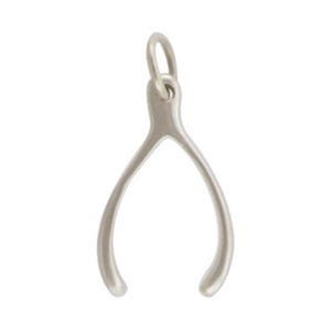 Op de afbeelding: Een zilverkleurige metalen wensbot-hanger met een gladde, matte afwerking en een kleine ronde ring aan de bovenkant om hem op te hangen. Het wensbot heeft twee gebogen, symmetrische uiteinden die naar beneden toe uitlopen.