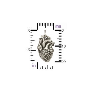 Anatomical Heart Large Charm Sterling Silver 20x10mm with soldered jump ring 1pc 20% discounted 4310/1 image 3