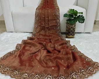 Sequin & Cutdana Tissue Saree: Intricate Lightweight Sari