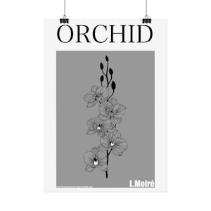 Orchidee - die zweite Edition der - Flowers Of The World - Serie.