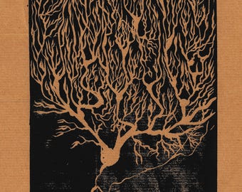 Neurony Purkinjego móżdżku, wydruki artystyczne z zakresu neurologii, wydruki giclée i linoleum dostępne