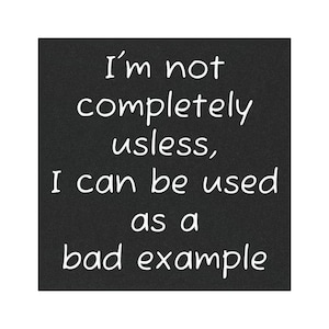 Funny Car Magnet, Humorous Car Décor, Gift for New Drivers, Bad Example Car Magnet, Vehicle Decoration, 2525S