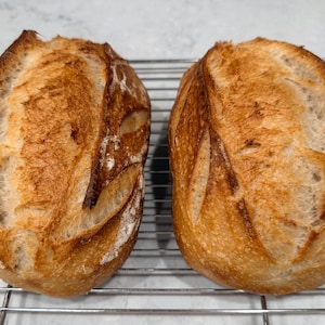 Two Sourdough 500g Loaves