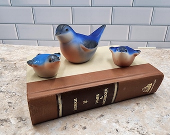 May include: Three ceramic bluebird figurines with orange chests and gray heads are displayed on a brown book. The birds vary in size, with one larger bird and two smaller ones. The book has gold lettering and the word "Hawaii" is visible.