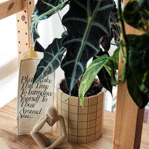 May include: A wooden shelf displaying a potted plant with dark green leaves, a beige ceramic pot, and a small figurine. A sign with text is also present. The shelf is made of wood.