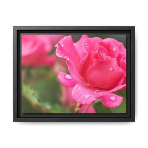 Framed Floral Canvas Art, Pink Rose Wall Decor, Home Aesthetic, Gift for Her, Mother&#39;s Day Decoration, Vibrant | Floral Artwork