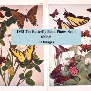 Butterfly Book Plates: 1898 Vintage Ephemera, Collage Papercrafts (Digital Download)