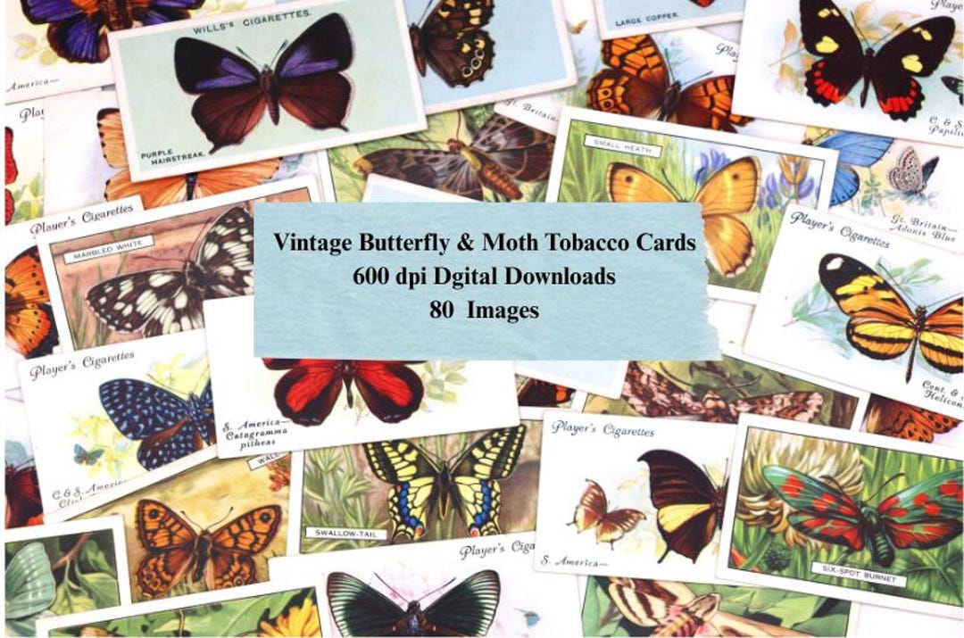 tobacco selling price Increasing Tobacco Prices Through Non-Tax Approaches – Counter Tobacco tobacco selling price Increasing Tobacco Prices Through Non-Tax Approaches – Counter Tobacco