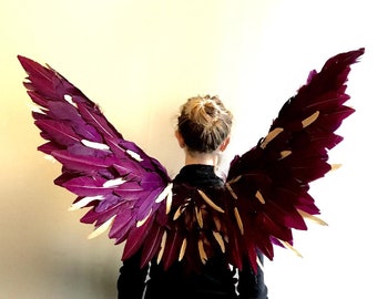 May include: A person wearing a black shirt with large purple and white feathered wings attached to their back.