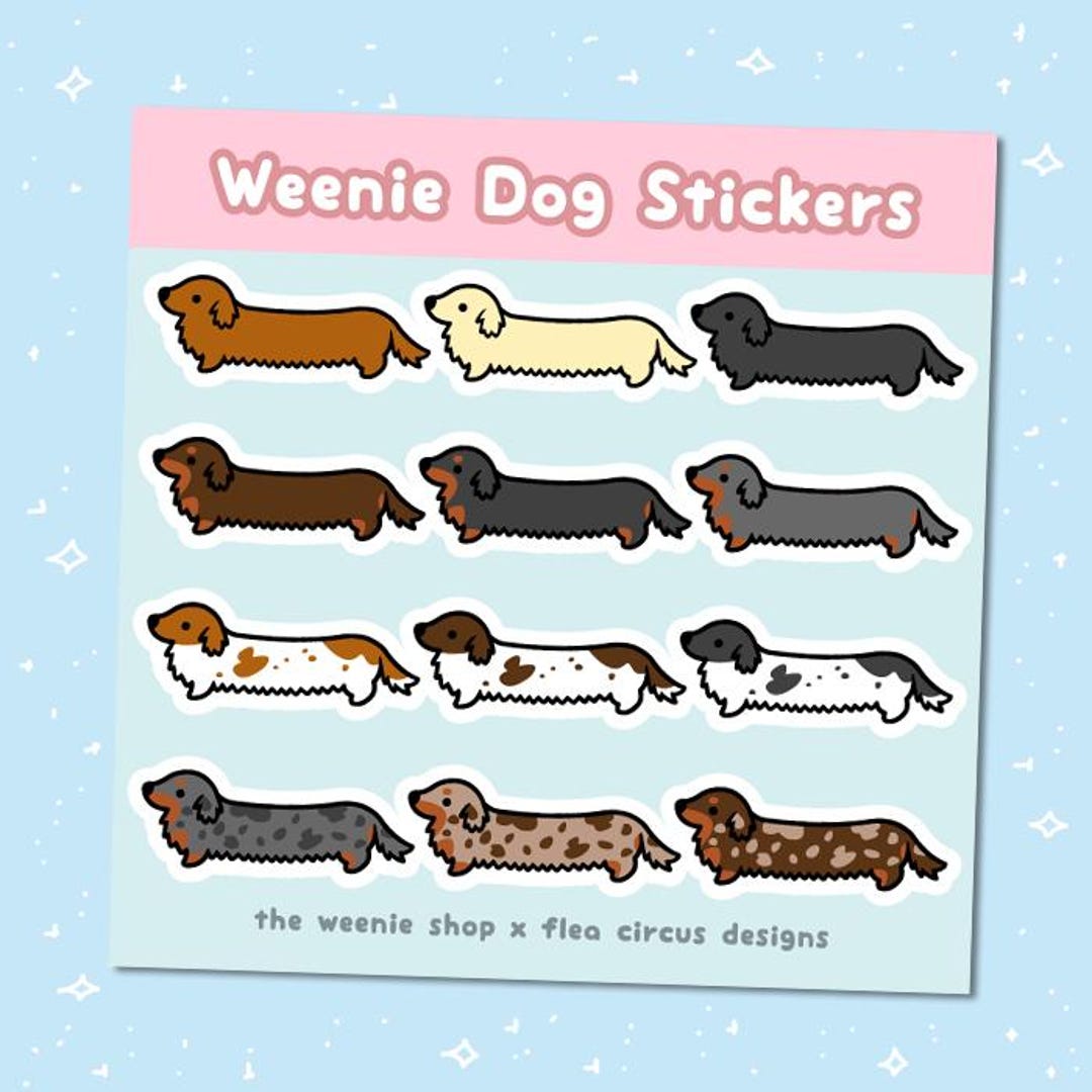 Dachshund Long Coat Matte Vinyl Sticker Weiner Dog Weenie Dog Sausage ...