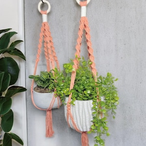 May include: Two macrame plant hangers in peach and white, each holding a potted plant with green foliage. The hangers are suspended from white rings, creating a decorative display. The pots are white and have different textures.