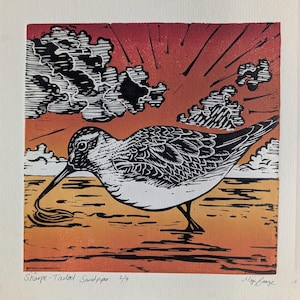 Peut inclure: Une gravure sur linoléum représentant un bécasseau à queue pointue cherchant de la nourriture sur une plage au coucher du soleil. L'oiseau est en noir et blanc sur un fond dégradé orange et rouge avec des nuages stylisés. Texte : Sharp-Tailed Sandpiper 2/4.