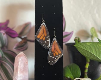 Real Butterfly Wing Earrings – Ethically Sourced Insect Jewelry