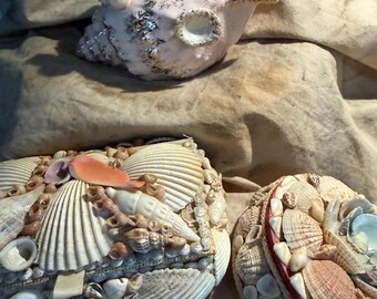 Curated retro Kitsch sea shell/side theme