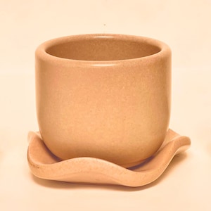 Small Decorative Cement Planter: Modern Minimalist Home Decor, Air Plant Vessel, Matching Tray