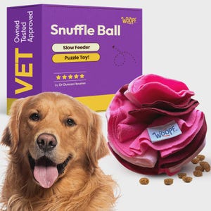 Raspberry Dog Snuffle Ball Toy, Anxious Dog Enrichment Toys, Treat Ball for Cats and Dogs, Puzzle Feeder Ball, Eco Friendly Slow Feeder Toy