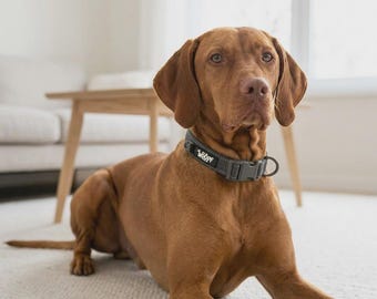 WOOPF Explorer Reflective Dog Collar