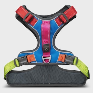 May include: A dog harness in blue, red, orange, pink, and green. The harness has adjustable straps and a padded chest plate. The harness has the text "PF" on the pink handle. The harness has a D-ring for leash attachment.