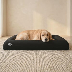 May include: A golden retriever dog rests on a black dog bed. The bed is rectangular with raised sides and the word "WOOPE" is printed on the side. The dog bed is on a beige rug.