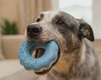 Pode incluir: Um cão com pelagem cinza e branca segura um brinquedo para cães em forma de donut azul claro na boca. O brinquedo tem uma superfície texturizada e um interior branco. O cão está olhando para a câmera.