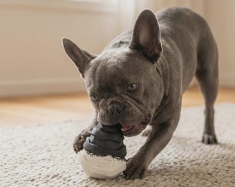 WOOPF Snacky Hive Treat Dispensing Toy