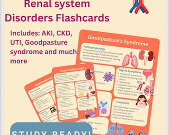 Renal System Med-Surg Flashcards: NCLEX Nursing Study Guide (Digital Download)