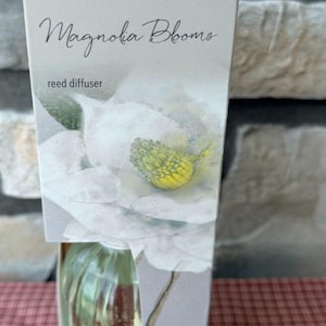 Vintage Pier 1 Imports Magnolia Blooms Reed Diffuser Retired Nectarine Pear 10oz