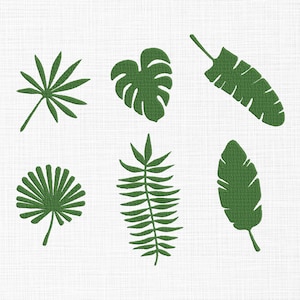May include: A collection of six green tropical leaf silhouettes, including a monstera, banana leaf, and palm fronds, are arranged on a white textured background. The leaves vary in shape and size, creating a botanical design.