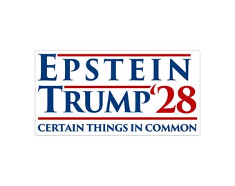 Trump Epstein '28 - Algumas coisas em comum - Adesivo de para-choque de protesto ousado - Versão branca ou azul - Adesivo de vinil