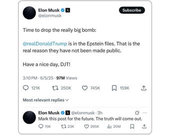 Trump is in the Files - Elon Musk Tweet - Epstein Files - Vinyl Sticker