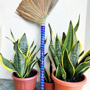 Authentic Handmade Asian Broom – 2 Packs - 40&quot; Length, Colors May Vary