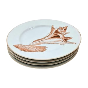 May include: A stack of four white ceramic plates. Each plate features a brown seashell design. The plates have a light brown rim. The seashell design includes a large conch shell and a smaller shell fragment.