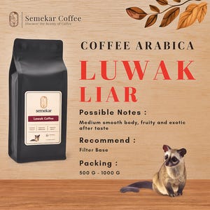 Semekar Luwak Arabica Gayo Coffee – Wild Civet Roasted Beans from Aceh, Indonesia – Smooth Low Acidity Premium Brew
