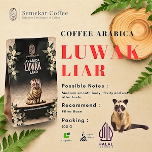 Semekar Luwak Arabica Gayo – Wild Civet Coffee Beans from Aceh, Indonesia – Medium Roast Premium