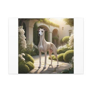 Whippet Canvas Wall Art  Elegant Dog Breed Home & Office Decor