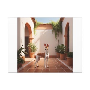 Ibizan Hound Canvas Wall Art  Elegant Dog Breed Home & Office Decor