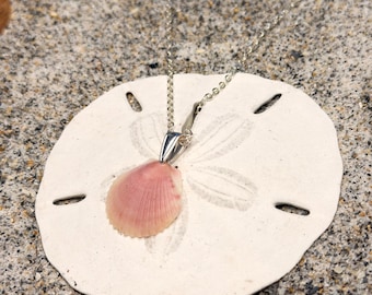 Shelle – Naszyjnik z wisiorkiem z prawdziwej muszli przegrzebka – biżuteria ze złota lub srebra próby 925 Coastal Jewelry