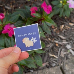 Cute Capybara Sticker | Adorable Animal Vinyl Decal | Kawaii Capybara | Water Bottle Sticker | Laptop Decal | Journal Sticker | Planner