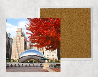 Sandstone Coaster: Chicago Cloudgate