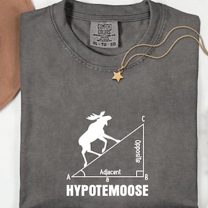 May include: Dark grey t-shirt featuring a white graphic of a moose climbing a triangle, with geometric labels and the text "HYPOTEMOOSE". A gold star pendant necklace is on the shirt. The shirt is a Comfort Colors XL.