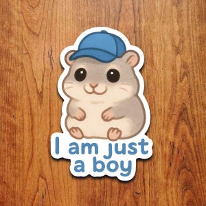 I Am Just a Boy Hamster Sticker – Cute Funny Kawaii Animal Vinyl Decal for Laptops, Water Bottles & Journals