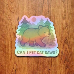 May include: A holographic sticker with a cartoon bear in a forest setting, with trees and a sun. The bear has rainbow colours. The text "CAN I PET DAT DAWG?" is at the bottom of the sticker.