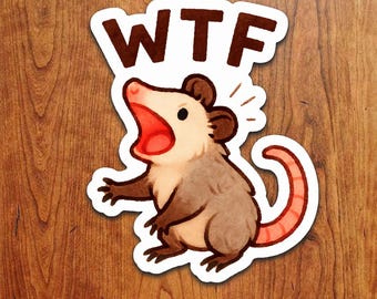 Funny WTF Possum Sticker: Waterproof Vinyl Decal for Laptops