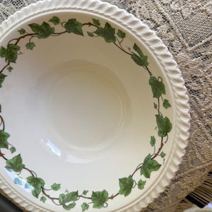Puede incluir: Un cuenco de cerámica de color crema con un borde decorativo en relieve estilo cuerda. La superficie interior está adornada con un patrón circular continuo de hojas de hiedra verdes y enredaderas marrones a lo largo del borde interior.