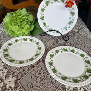 May include: Three round ceramic plates featuring a white center and a decorative border of green ivy vines and brown stems. Each plate has a raised, twisted rope-style edge pattern. The plates are arranged with one standing upright on a black metal stand.