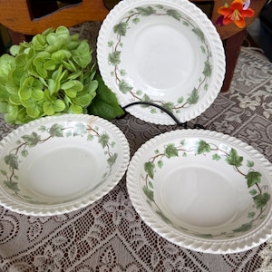 May include: Three white ceramic bowls featuring a green ivy vine pattern around the inner rim and a textured, rope-style edge. The bowls are round with a smooth, glossy finish, showcasing a consistent botanical design on each piece of dinnerware.