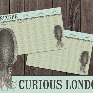 octopusreceptkaarten | diepzeedieren | Inktvisreceptkaarten | uit de keuken van | chef bakker cadeau | ongewenste dagboekkaarten | Curiouslondon